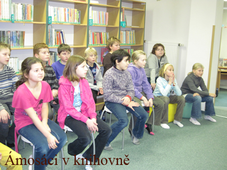 knihovna (1)